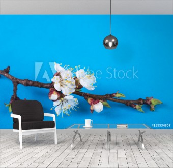 Picture of Flowering branch on a bright background